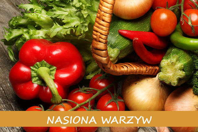 Nasiona warzyw